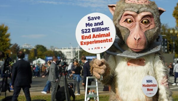 Beamish mascot holding sign against NIH experiments on animals