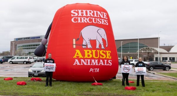 PETA demo asking Shrine Circus to retire Betty the elephant