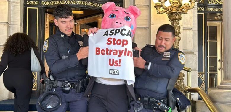 Police escorting a demonstrator in a pig mask
