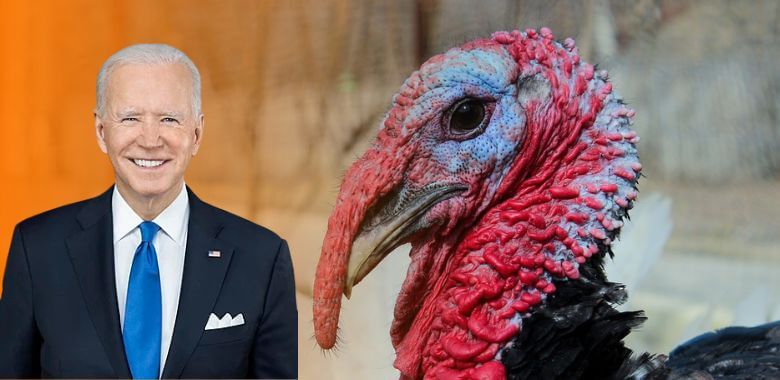 Biden Urged to End Absurd Turkey Pardon Before Oval Office Exit | PETA