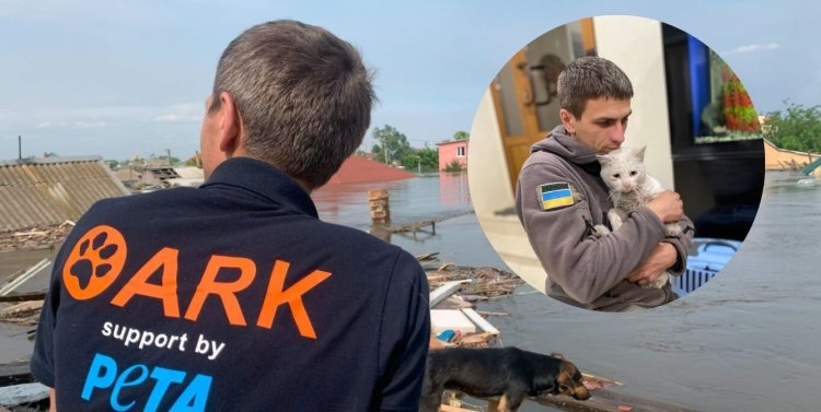 Shelter Refusing Animals? Here's What to Do | PETA