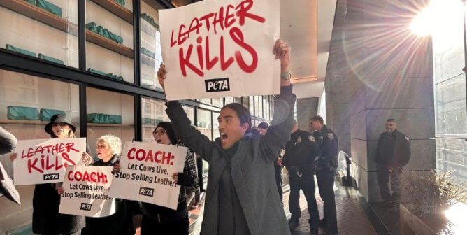 Demonstrator holding up a sign reading Leather Kills