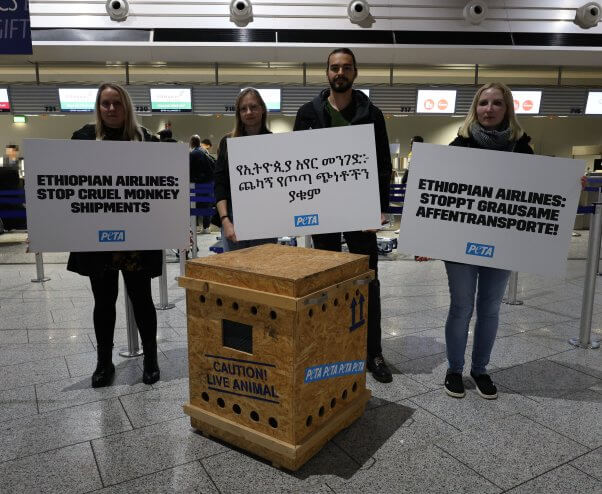 Three demonstrators holding signs that say Ethiopian Airlines: Stop Cruel Monkey Shipments