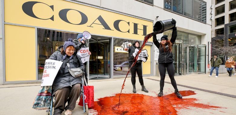 PETA demonstrator pouring a bucket of 'blood' in front of a Coach store