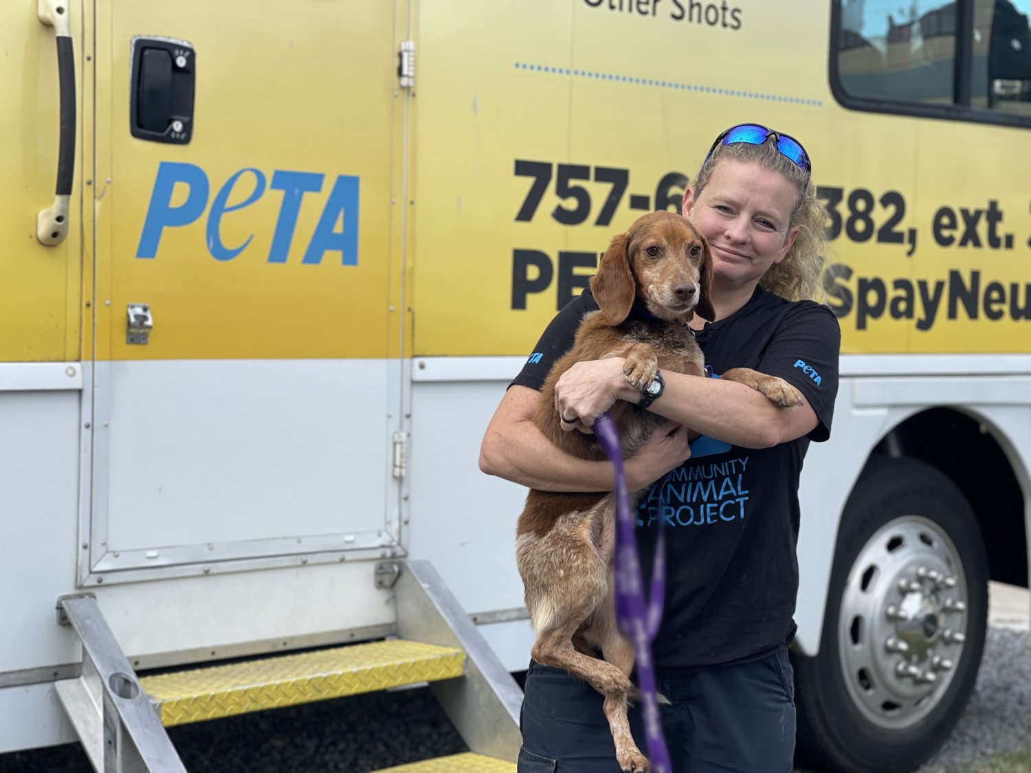 Peta Rescues 10+ Animals PETA Rescued in 2024: Where Are They Now? | PETA