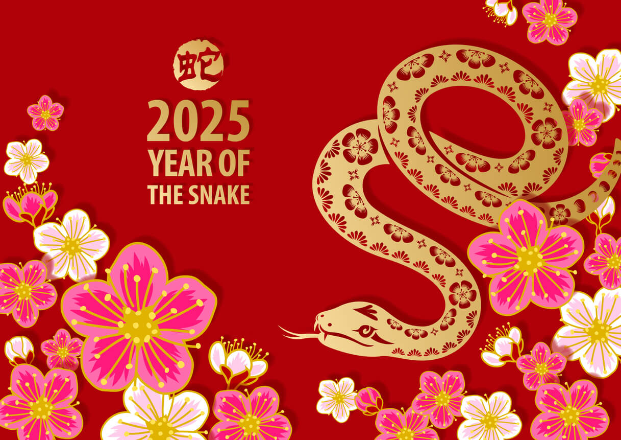 Papercut styled gold colored snake on the plum blossom background