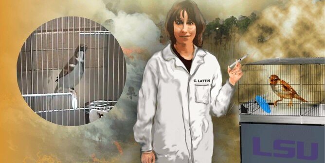 Portrait of Lattin with a photo of a sparrow superimposed next to her