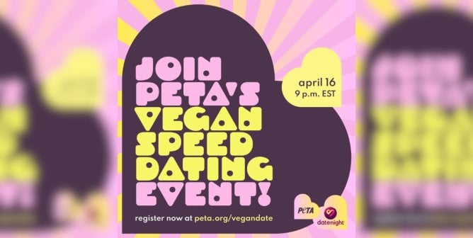vegan speed dating event