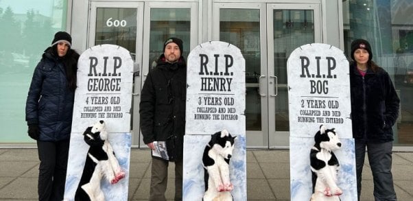 Three demonstrators holding up 'graves' with stuffed dogs attached to them. Each one represents a dog who perished on the Iditarod