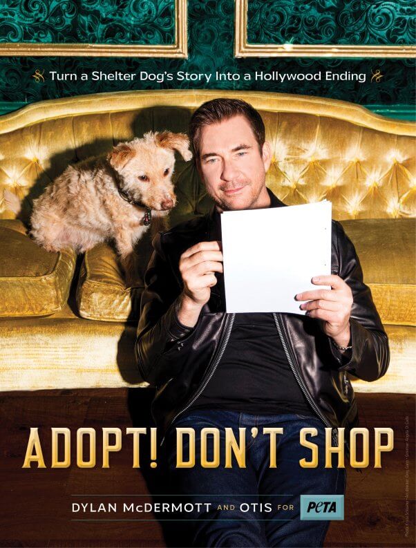 dylan mcdermott adoption ad
