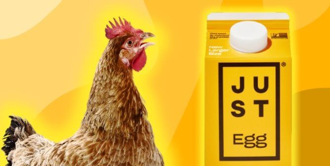 A chicken and a Just Egg carton