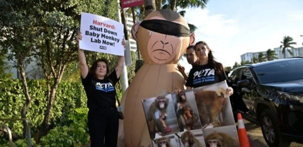 Activists holding up signs around an inflatable monkey prop