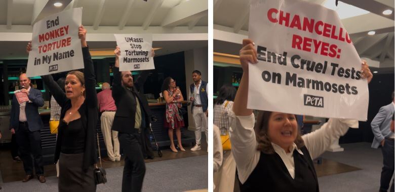 Collage of activists holding up signs reading Chancellor Reyes: End Cruel Tests on Marmosets