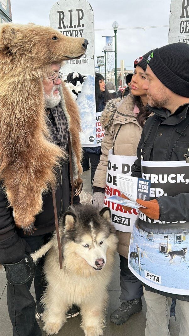 iditarod 2025 demo