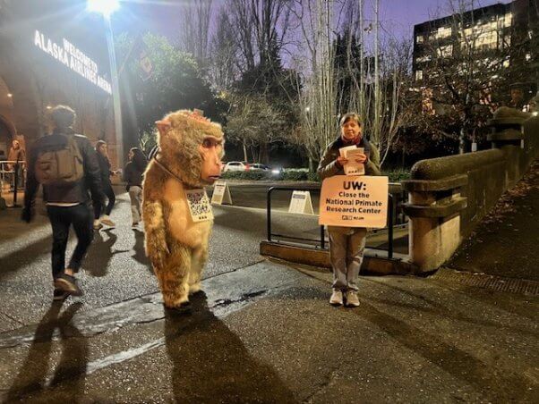 PETA demonstrator with Dorothy, a mascot