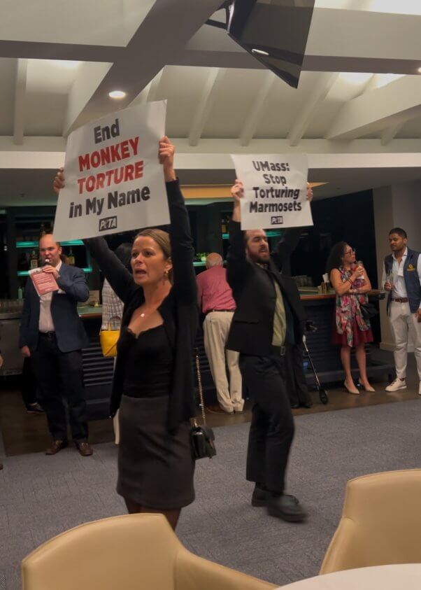 Two people holding signs