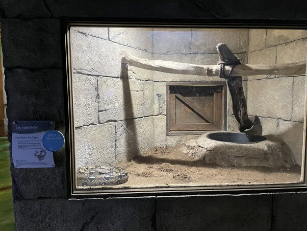 snake at seaquest las vegas in small tank