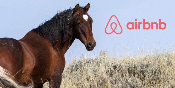 A horse looking at the viewer with the Airbnb logo to the side