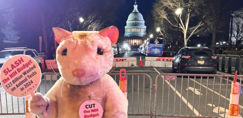 NIH 'Mouse' standing in front of the Capital with a sign reading "Slash the NIH Budget"