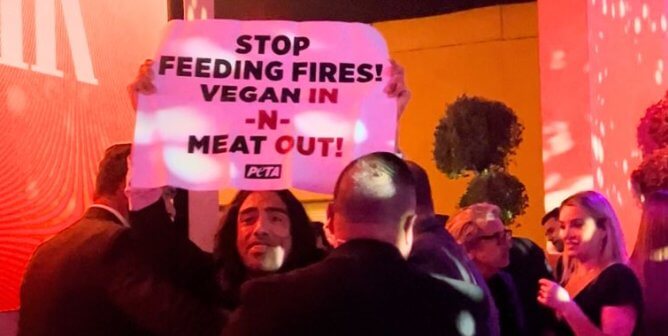 A demonstrator holding up a sign reading "Stop Feeding Fires! Vegan In-N-Meat Out!