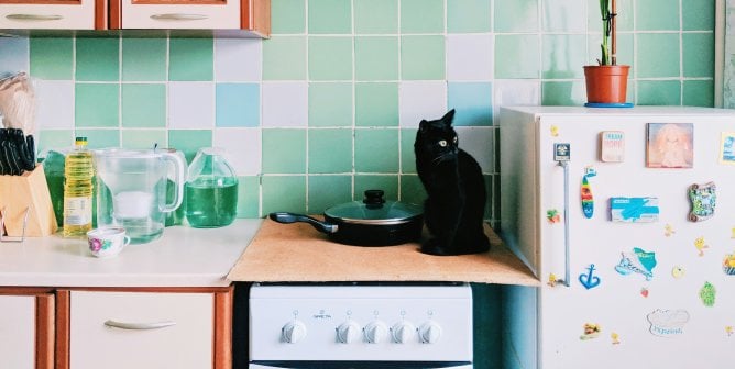 A black cat sitting on a kitchen countertop
