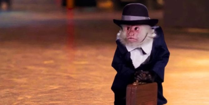 Katie the capuchin on the set of 30 Rock looking uncomfortable in a suit