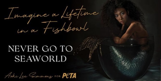 PSA featuring Aoki Lee Simmons in a fishbowl