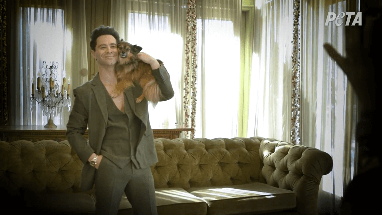 Sasha Farber and His Rescued Pup Ruby Partner Up With Adoption! PETA