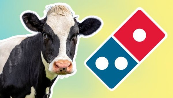 A cow next to the Domino's logo