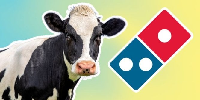 A cow next to the Domino's logo