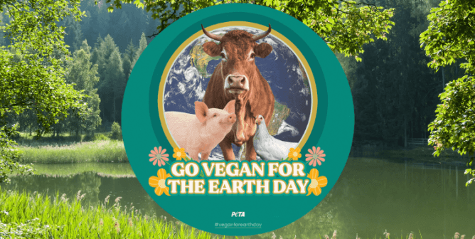 Photo of a forest with a logo superimposed on top stating "Go Vegan for The Earth Day"