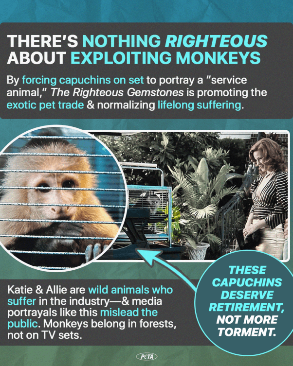 Social image of monkeys used in The Righteous Gemstones