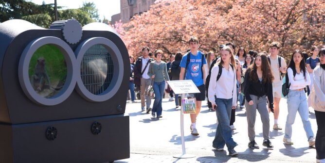 University of Washington students stare at giant binoculars