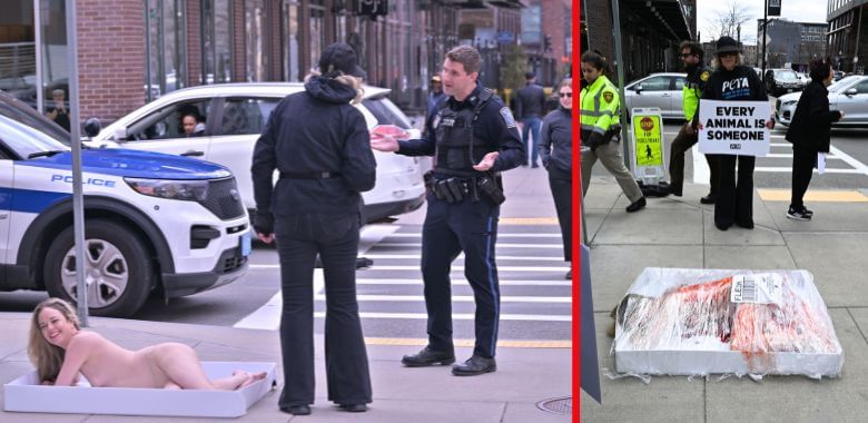 A Person on a 'meat tray' talking to police