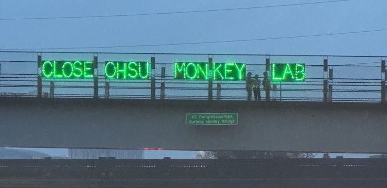 Light board display reading Close OHSU Monkey Lab