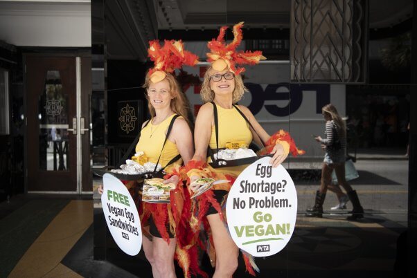 Two women in chicken costumes with egg-shaped signs.