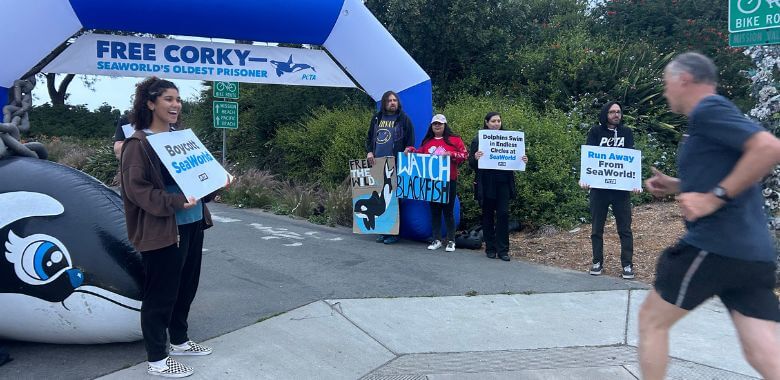 A runner arriving at an inflatable Free Corky arch