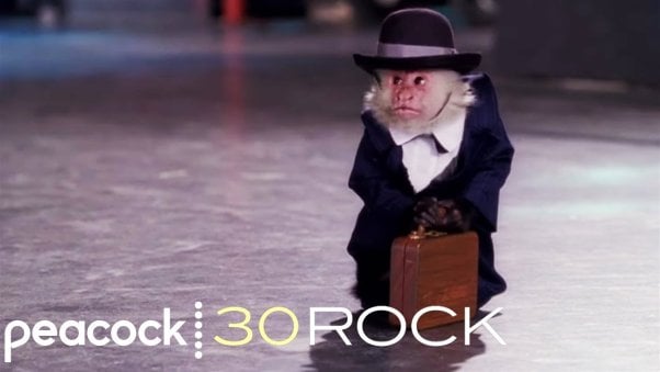 Capuchin Katie on the set of 30 Rock looking uncomfortable in a suit.
