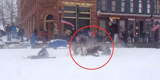 skijoring horse accident