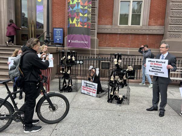 Demonstrators holding signs
