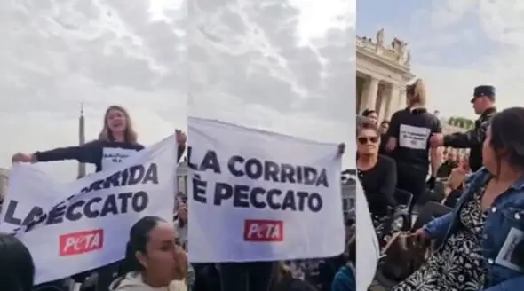 Vatican Easter Bullfighting Protest