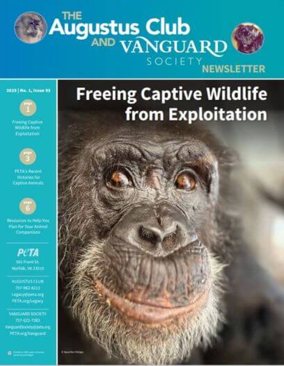 Augustus 2025 #1, Issue 93 Cover