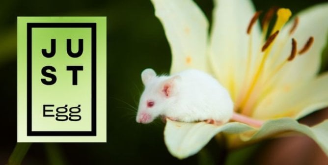 A white mouse on a flower next to the JUST egg logo
