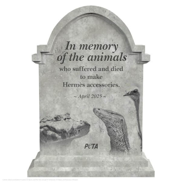 Tombstone reading "in memory of the animals who suffered and died to make Hermes accessories