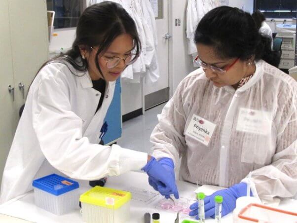 A group of researchers