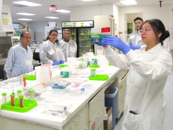 A group of researchers