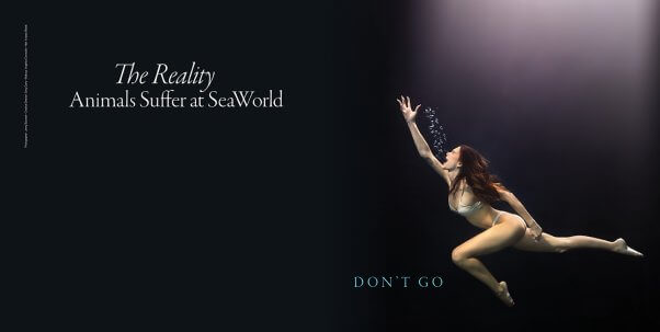 lala kent seaworld