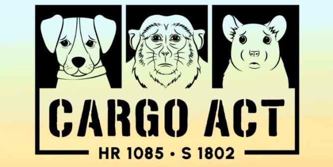 Cargo Act logo illustration