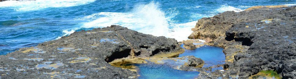 A tide pool