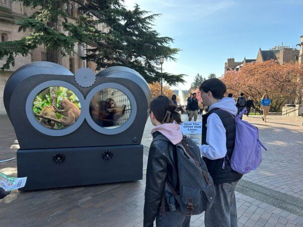 Students looking at the binoculars installation